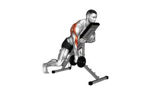 Dumbbell Single Arm Row with Chest Supported exercise