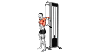 Cable Behind The Back Tricep Dip exercise