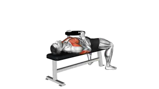 Weighted Plate Bench Press exercise