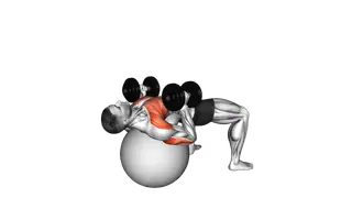 Dumbbell Hammer Press on Exercise Ball exercise