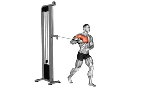 Cable Standing Single Arm Chest Press exercise