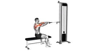 Cable Sitting Bench Face Pull (with rope)