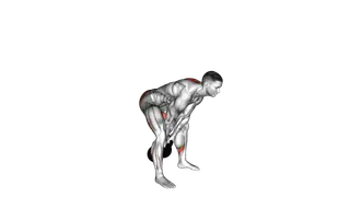 Kettlebell Double Swing exercise