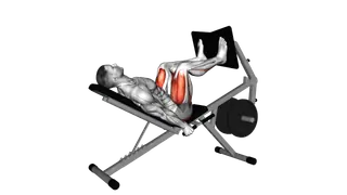 Lever Bench Leg Press exercise