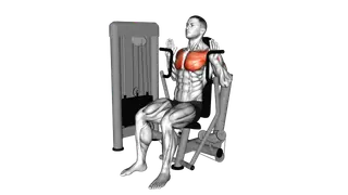 Lever Sitting JM Press exercise