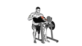 Lever Single Arm Preacher Curl (plate loaded) exercise