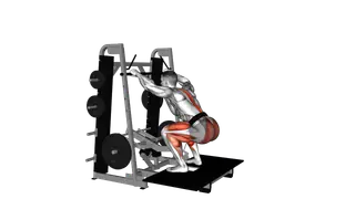 Lever Belt Deadlift exercise