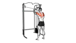 Cable 45 degrees Reverse Grip Reverse Fly exercise