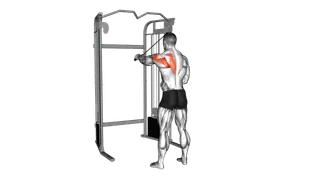 Cable 45 degrees Single Arm Reverse Fly exercise