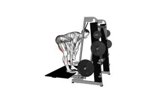 Lever Belt Romanian Deadlift (straight bar) exercise