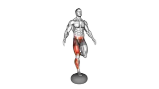 Air Pillow Single Leg Balance exercise