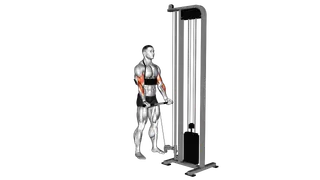 Cable Biceps Curl (with arm blaster) exercise