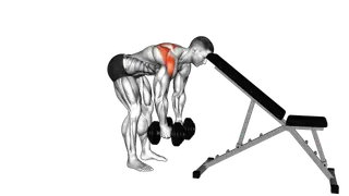Dumbbell Alternating Rear Lateral Raise (support h exercise