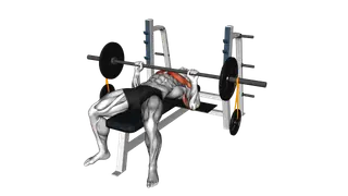 Barbell Banded Weighted Plate Bench Press exercise