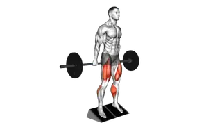 Barbell Elevated Hack Squat exercise