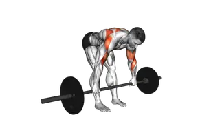 Barbell Bent over Rear Delt Row exercise