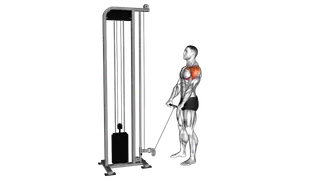 Cable Full Front Raise exercise