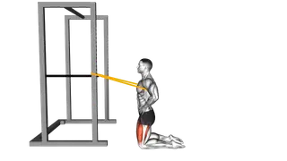 Resistance Band Kneeling Sissy Squat exercise