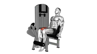 Lever Isometric Leg Extension exercise