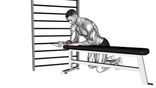 Resistance Band Wrist Flexion exercise