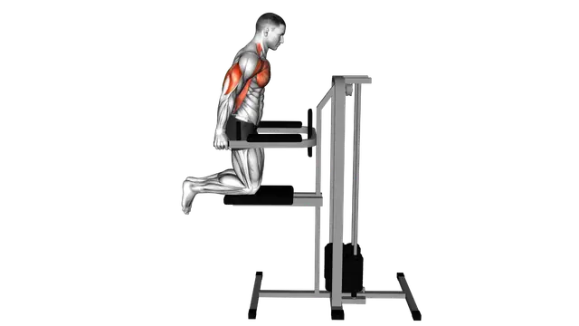 Assisted Chest Dip (kneeling) exercise demonstration