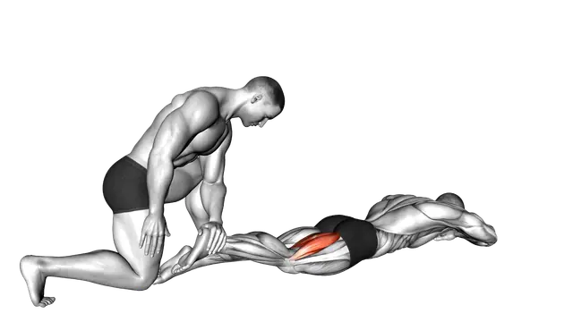 Assisted Prone Hamstring exercise demonstration
