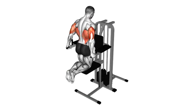 Assisted Triceps Dip (kneeling) exercise demonstration
