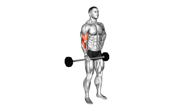 Barbell Alternate Biceps Curl exercise demonstration