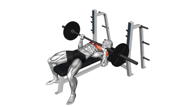 Barbell Bench Press exercise demonstration