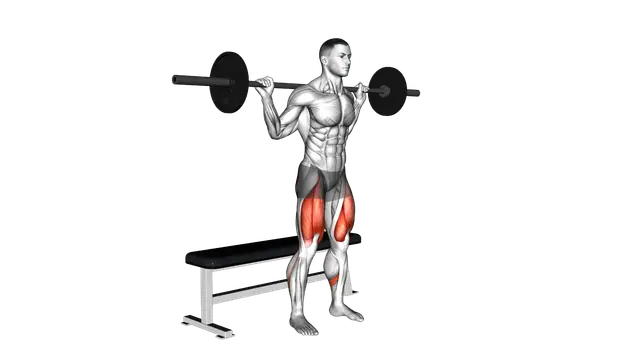 Barbell Bench Squat exercise demonstration