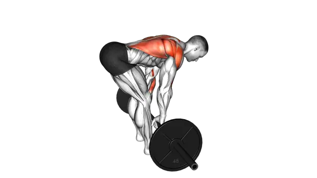 Barbell Bent Over Row exercise demonstration