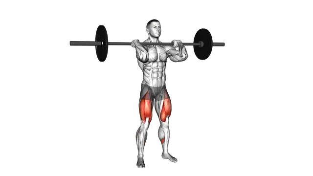 Barbell Clean grip Front Squat exercise demonstration
