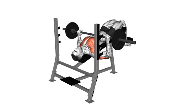 Barbell Decline Bench Press exercise demonstration