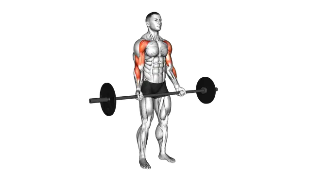 Barbell Drag Curl exercise demonstration