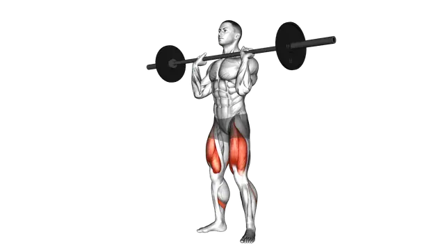 Barbell Front Chest Squat exercise demonstration