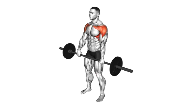 Barbell Front Raise exercise demonstration