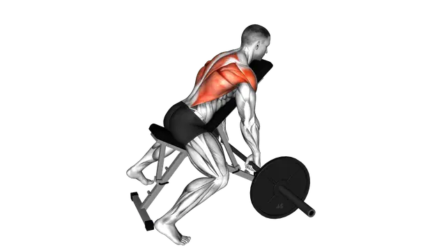Barbell Incline Row exercise demonstration