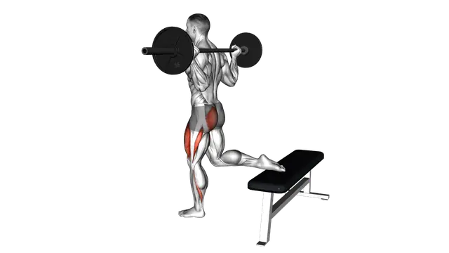 Barbell One Leg Squat exercise demonstration