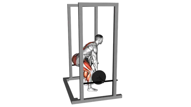 Barbell Rack Pull exercise demonstration