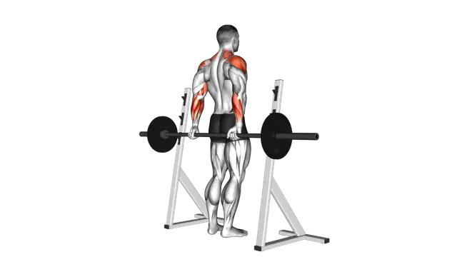 Barbell Rear Delt Raise exercise demonstration