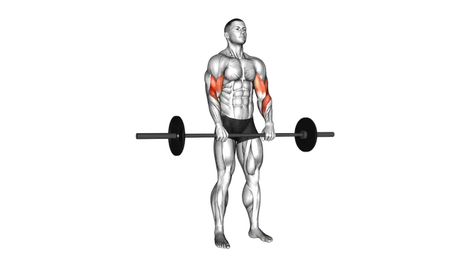 Barbell Reverse Curl exercise demonstration