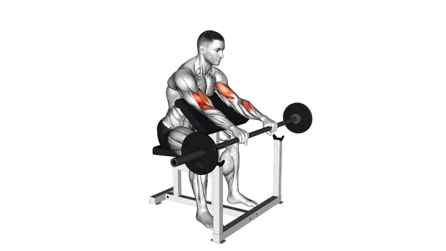 Barbell Reverse Preacher Curl exercise demonstration