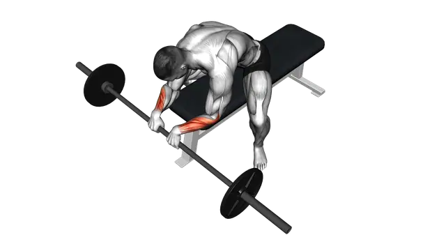 Barbell Reverse Wrist Curl exercise demonstration