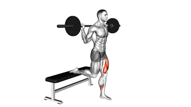 Barbell Single Leg Split Squat exercise demonstration