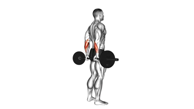 Barbell Standing Back Wrist Curl exercise demonstration