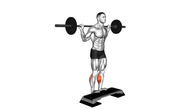 Barbell Standing Leg Calf Raise exercise demonstration
