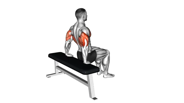 Bench Dip (knees bent) exercise demonstration