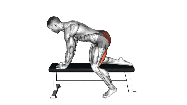 Bench Hip Extension exercise demonstration