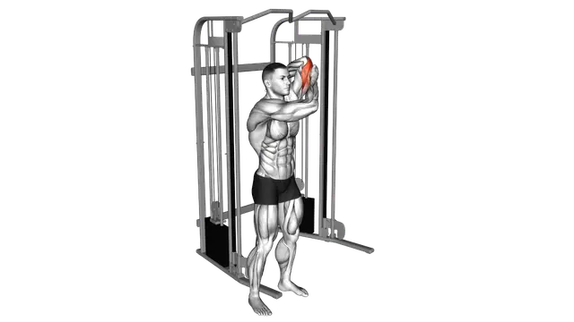 Cable Alternate Triceps Extension exercise demonstration
