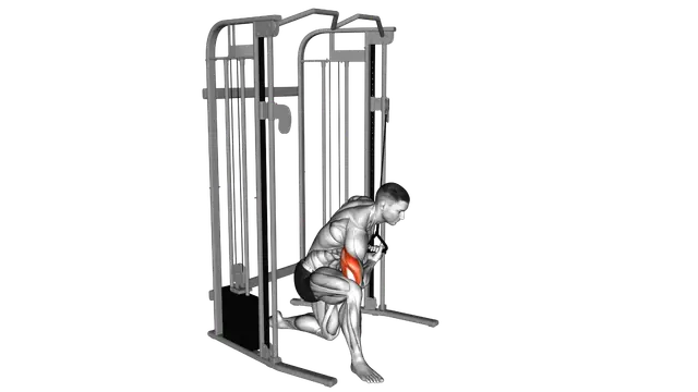 Cable Concentration Extension (on knee) exercise demonstration